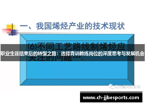 职业生涯结束后的转型之路：选择青训教练岗位的深度思考与发展机会
